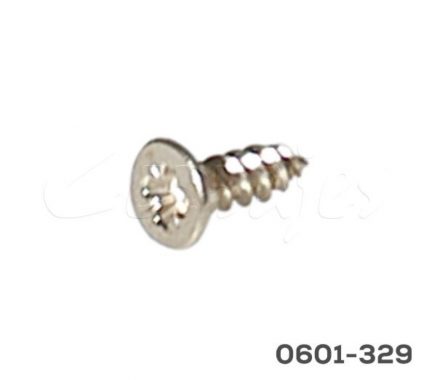TORNILLO PARA BISAGRA  MS41 1A05512105000